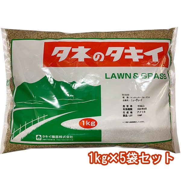 ケンタッキーブルーグラス ニューグレード 1kg×5袋 タキイ種苗 種 芝 種 芝生 種 西洋芝 種 種子 芝 種子 芝生 種子 西洋芝 種子 芝の種 芝生の種 西洋芝の種