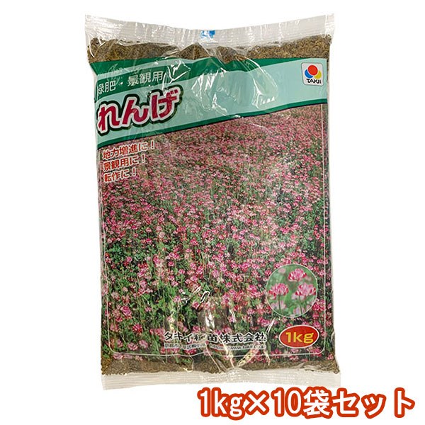 タキイ種苗 1kg ガーデニング 農業 10袋 地力増進に 転作に 景観に れんげ 緑肥 10袋 代金引換不可 芝生の種子 Glafirstsite Davisdigitalinc Com タキイ種苗 1kg ガーデニング 農業 10袋 地力増進に 転作に 景観に れんげ 緑肥 10袋 代金引換不可 芝生の種子 Glafirstsite Davisdigitalinc Com