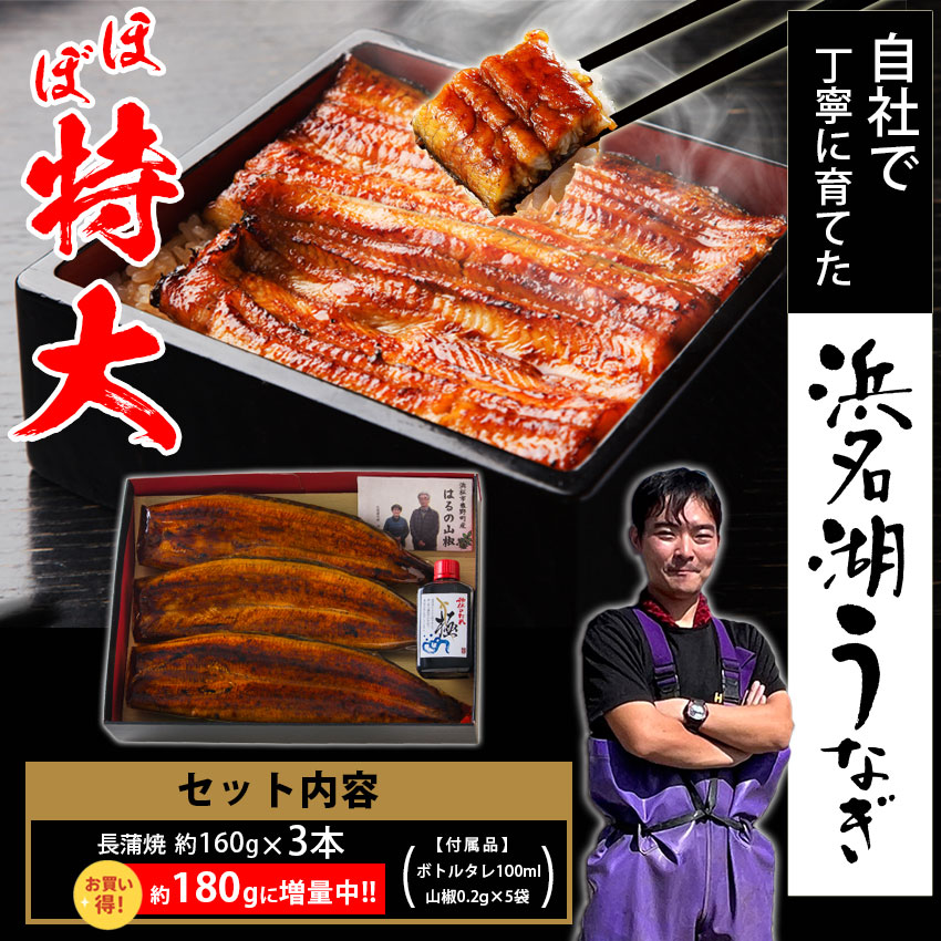国産うなぎの最高峰 浜名湖うなぎ 大蒲焼160g 3本 無添加のタレ使用 国内産 静岡県産 本格 蒲焼 お中元 高級 ウナギ あす楽 約6人前 ギフト 暑中見舞い 丑の日 土用の丑の日 誕生日プレゼント 浜名湖産 鰻 国産うなぎの最高峰 浜名湖うなぎ 大蒲焼160g 3本 無添加のタレ使用 国内産 静岡県産 本格 蒲焼 お中元 高級 ウナギ あす楽 約6人前 ギフト 暑中見舞い 丑の日 土用の丑の日 誕生日プレゼント 浜名湖産 鰻
