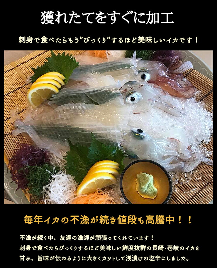 楽天市場 ただうまいだけの塩辛 750g 送料無料 イカの塩辛 国産 うまい 減塩 冷凍 買い回り 買いまわり ポイント消化 観光地応援 バーベキュー キャンプ 父の日 プレゼント 実用的 中元 お中元 御中元 干物と麦焼酎 玄海屋