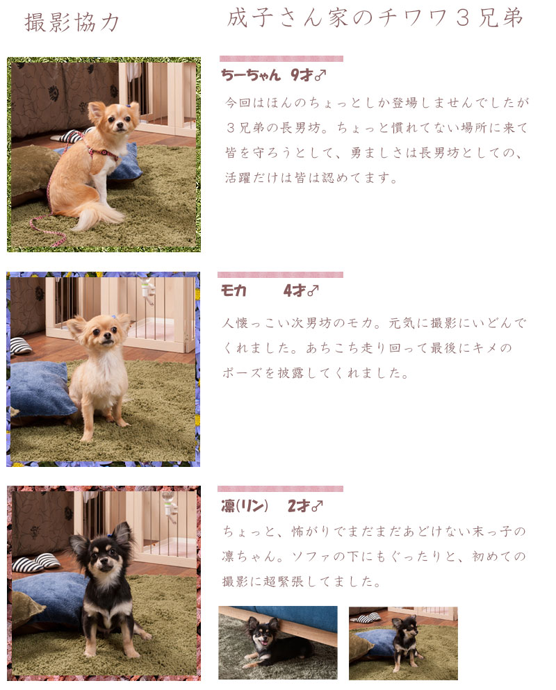 近近使える引き換え証散々直中 折りたたみ毛色伏せ篭 州間合保管倖せ折りたたみ型ケージ スコープ90 工作員 ゲージ 犬 ゲージ おつ 犬 ゲージ 室内 Marchesoni Com Br