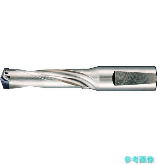(GUHRING) 5242 19.000 刃先取り替えっこ式超硬ドリルホルダ3×D用 18.00~19.00粍