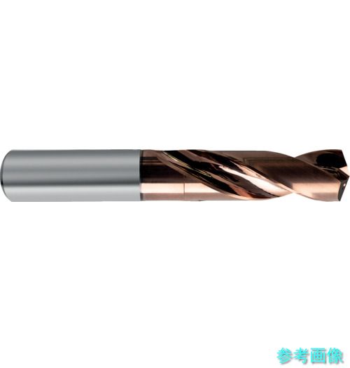(GUHRING) 8512 4.800 超硬ストレートシャンクドリル3xD用4.8粍 穴あけ工具用アクセサリー-花・ガーデン・DIY