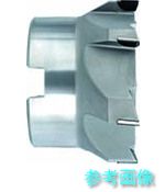 (GUHRING) 4194 125.000 PCD 向こう正面・端っこ用ミーリングカッタ 判定基準刃 125粍