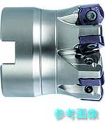 (GUHRING) 28002 40.000 高送ること用挟みいれる取り替えっこ式ミーリングカッタホルダ 甲殻手合い 40粍