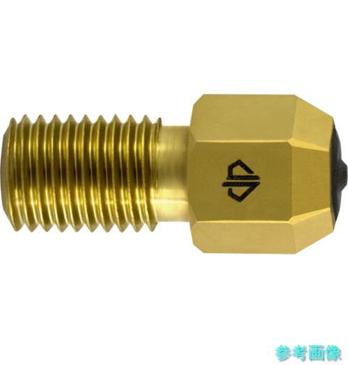 (GUHRING) 9610 285.020 3Dプリンター用ノズル DIANOZ Pro UltiMaker フィラメント径2.85mm用 ノズル口径0.2mm