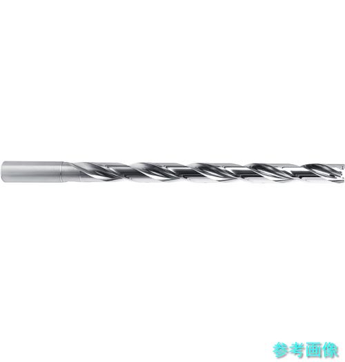 (GUHRING) 8154 10.005 BT 800 ドリルホルダ 12xD ホルダサイズ100