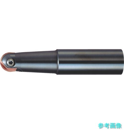 MOLDINO ABPF20S20L120 フライス手道具 アルファ ボールプレシジョンF ABPF20S20L120 【1個】