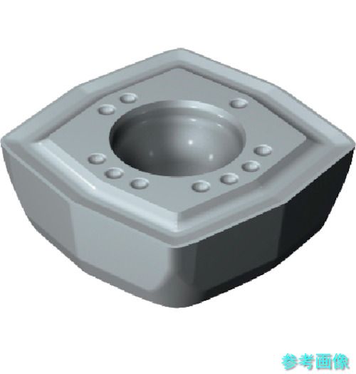 SANDVIK DS20-0205-C-L5(H13A) コロドリルDS20チップ(365) H13A 【10個】