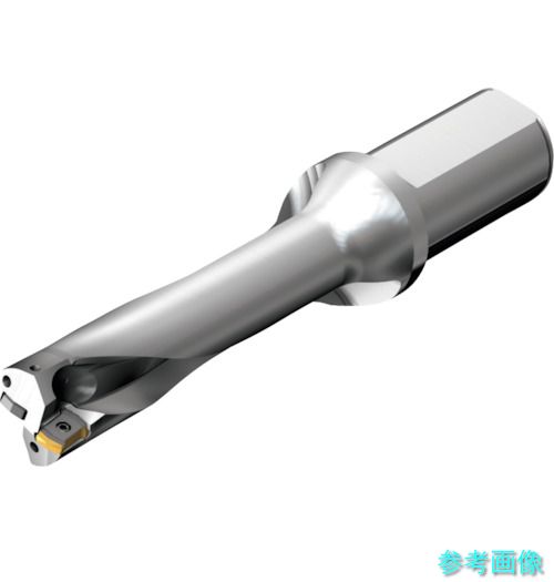 SANDVIK DS20-D2900L32-04 コロドリルDS20刃先交換式ドリル(465)｜イーキカイ　店