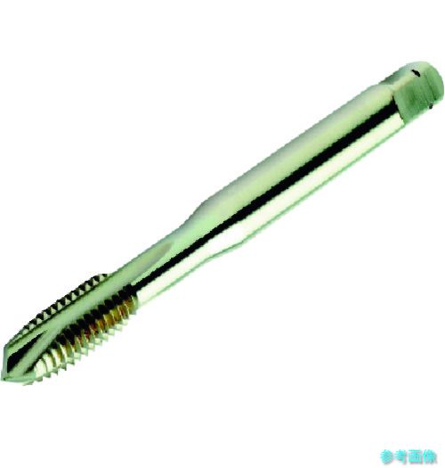 (SANDVIK) T200-NM100DA-M6(B125) コロタップ200 ポイントタップ(780) B125 【1本】