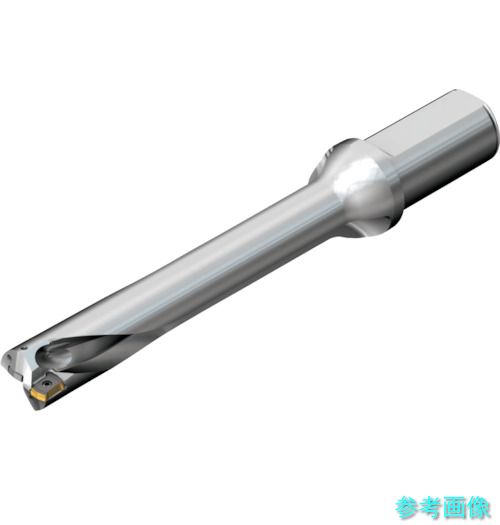 (SANDVIK) DS20-D2540LX25-06 コロドリルDS20刃先交換式ドリル(465)｜イーキカイ　店