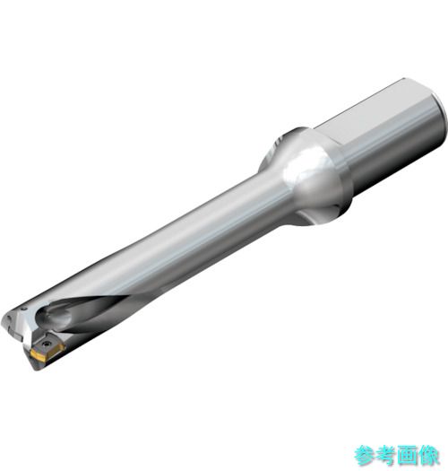 (SANDVIK) DS20-D1666LX19-05 コロドリルDS20刃先交換式ドリル(465) 【1本】