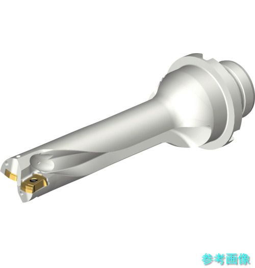 (SANDVIK) DS20-D1905DM25-04 コロドリルDS20刃先交換式ドリル(465) 【1本】
