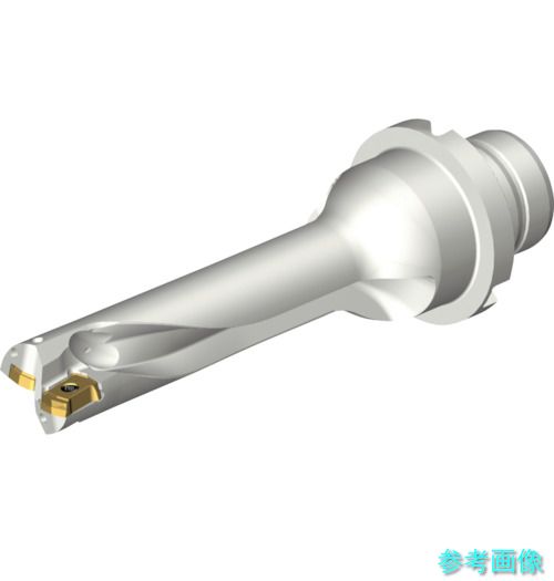 (SANDVIK) DS20-D1500DM20-04 コロドリルDS20刃先交換式ドリル(465)|イーキカイ 店
