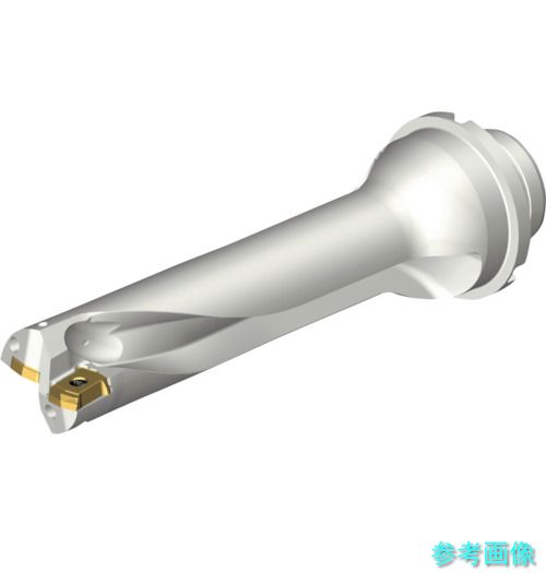 (SANDVIK) DS20-D2858DM32-04 コロドリルDS20刃先交換式ドリル(465) 【1本】