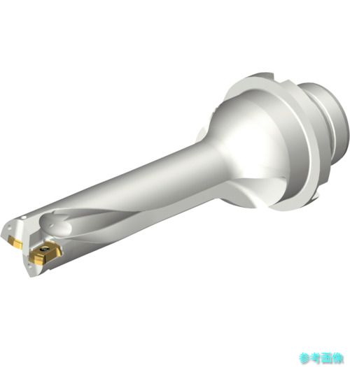 (SANDVIK) DS20-D1745DM25-04 コロドリルDS20刃先交換式ドリル(465) 【1本】 52,066円