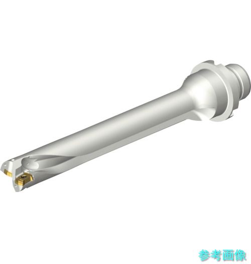 (SANDVIK) DS20-D1700DM20-07 コロドリルDS20刃先交換式ドリル(465)|イーキカイ 店