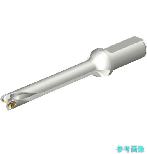 (SANDVIK) DS20-D1745LX25-07 コロドリルDS20刃先交換式ドリル(465) 【1本】