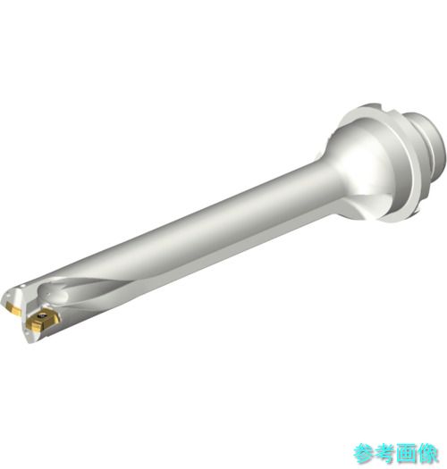 (SANDVIK) DS20-D1905DM25-07 コロドリルDS20刃先交換式ドリル(465)|イーキカイ 店