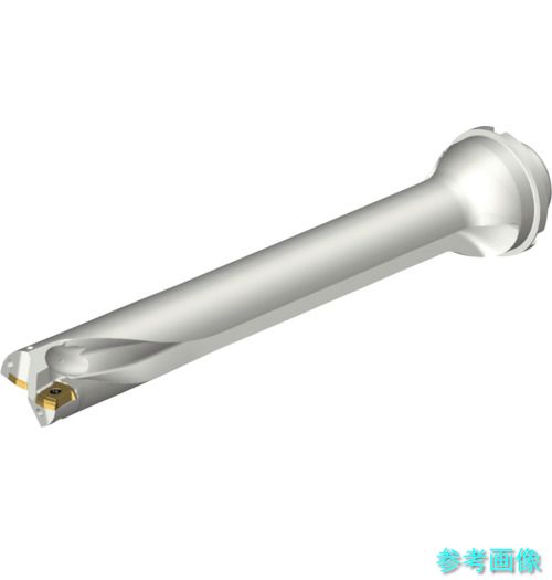 (SANDVIK) DS20-D3650DM40-07 コロドリルDS20刃先交換式ドリル(465) 【1本】
