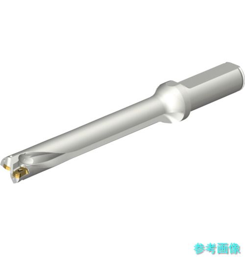 (SANDVIK) DS20-D1666LX19-07 コロドリルDS20刃先交換式ドリル(465) 【1本】