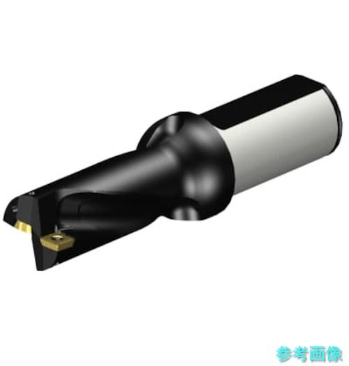 (SANDVIK) A880-D1125LX31-02 コロドリル880(スーパーUドリル) 刃先交換式ドリル28.575 (465)|イーキカイ 店