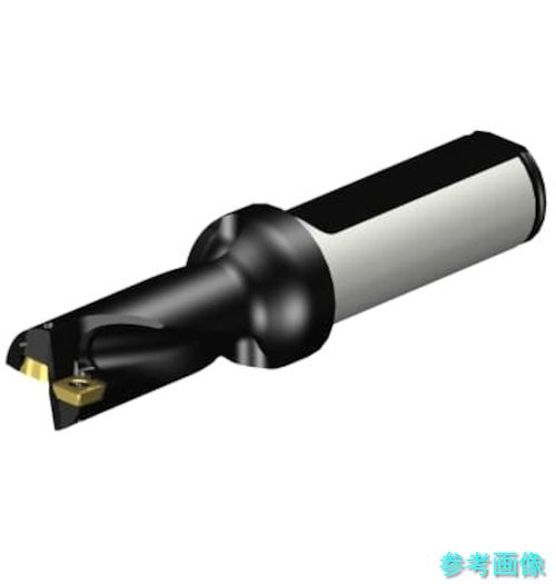 (SANDVIK) A880-D0656LX19-02 コロドリル880(スーパーUドリル) 刃先交換式ドリル16.6624 (465)｜イーキカイ　店