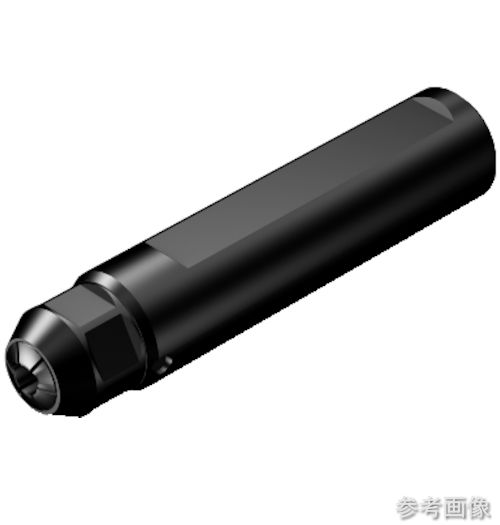 (SANDVIK) CXS-A25-06-X 円柱平すべり出しシャンク コロターンXSアダプター(425) 【1個】