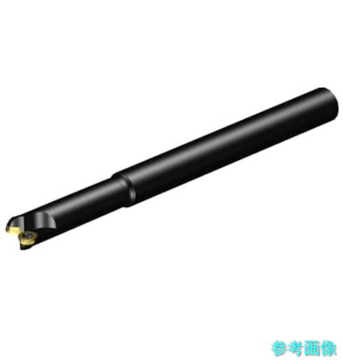 (SANDVIK) RA300-019O19L-10L コロミル300 向こう正面フライス切り手(440) 【1台】