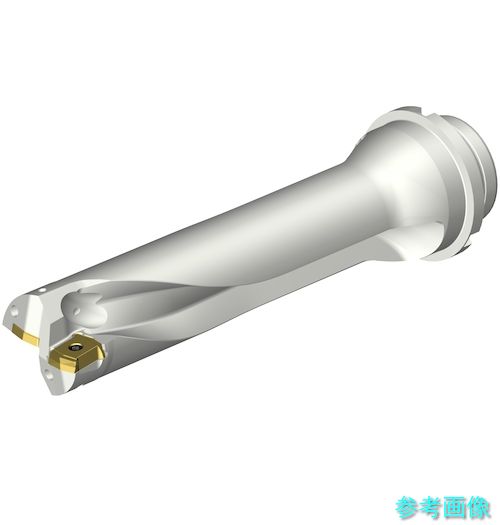 (SANDVIK) DS20-D4500DM50-04 コロドリルDS20刃先交換式ドリル(465) 【1本】