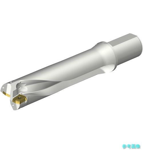 (SANDVIK) DS20-D5500L50-04 コロドリルDS20刃先交換式ドリル(465) 【1本】