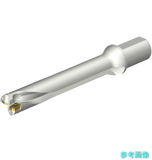 (SANDVIK) DS20-D4300L50-06 コロドリルDS20刃先取り替えっこ式せん孔機(465) 【1本】