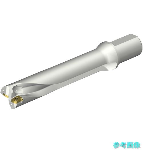 (SANDVIK) DS20-D5000L50-05 コロドリルDS20刃先取り替えっこ式せん孔機(465) 【1本】