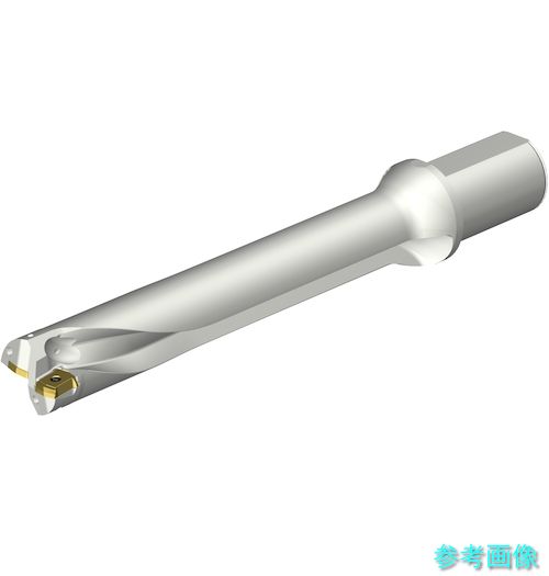 (SANDVIK) DS20-D4500L50-06 コロドリルDS20刃先取り替えっこ式せん孔機(465) 【1本】