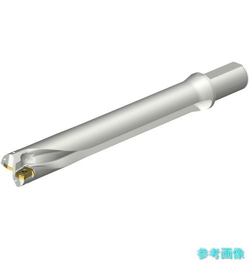 (SANDVIK) DS20-D4285LX38-07 コロドリルDS20刃先取り替えっこ式せん孔機(465) 【1本】