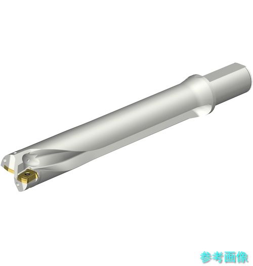 (SANDVIK) DS20-D4445LX38-06 コロドリルDS20刃先取り替えっこ式せん孔機(465) 【1本】