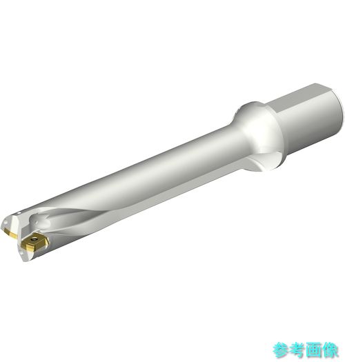 (SANDVIK) DS20-D4200L50-06 コロドリルDS20刃先交換式ドリル(465) 【1本】