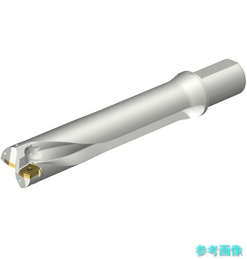(SANDVIK) DS20-D5500L50-05 コロドリルDS20刃先取り替えっこ式せん孔機(465) 【1本】