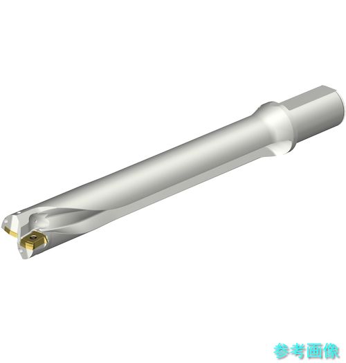 (SANDVIK) DS20-D4100L40-07 コロドリルDS20刃先交換式ドリル(465) 【1本】