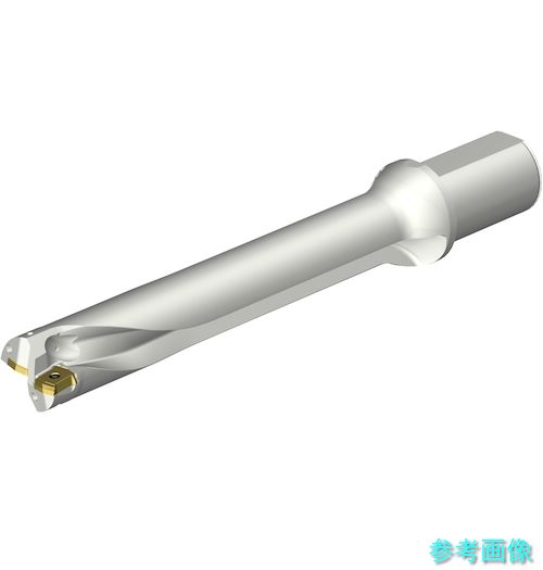 (SANDVIK) DS20-D4400L50-06 コロドリルDS20刃先取り替えっこ式せん孔機(465) 【1本】