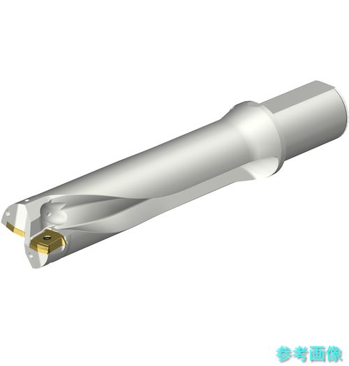 (SANDVIK) DS20-D5300L50-04 コロドリルDS20刃先交換式ドリル(465)|イーキカイ 店