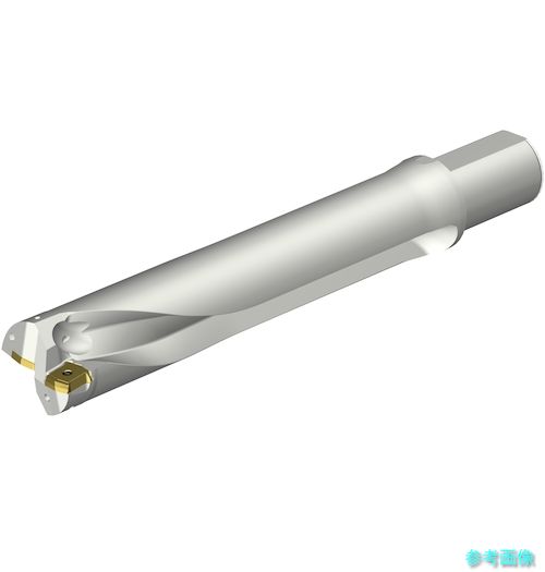 (SANDVIK) DS20-D6000L50-05 コロドリルDS20刃先交換式ドリル(465) 【1本】