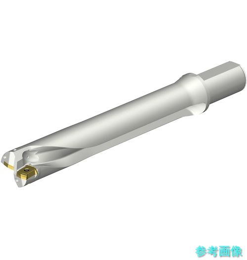 (SANDVIK) DS20-D4285LX38-06 コロドリルDS20刃先取り替えっこ式せん孔機(465) 【1本】