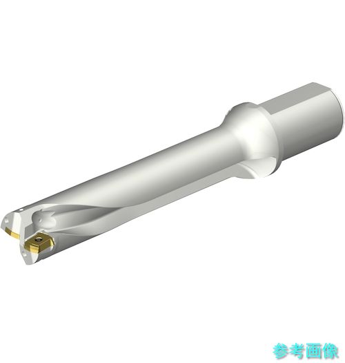(SANDVIK) DS20-D4400L50-05 コロドリルDS20刃先交換式ドリル(465) 【1本】