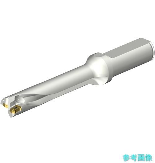 (SANDVIK) DS20-D1650L20-05 コロドリルDS20刃先交換式ドリル(465) 【1本】