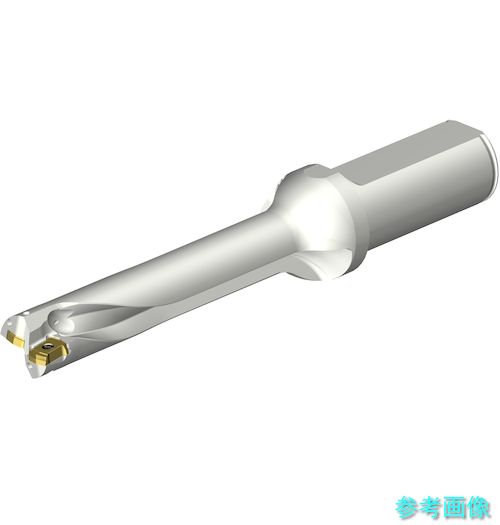 (SANDVIK) DS20-D1850L25-05 コロドリルDS20刃先交換式ドリル(465) 【1本】