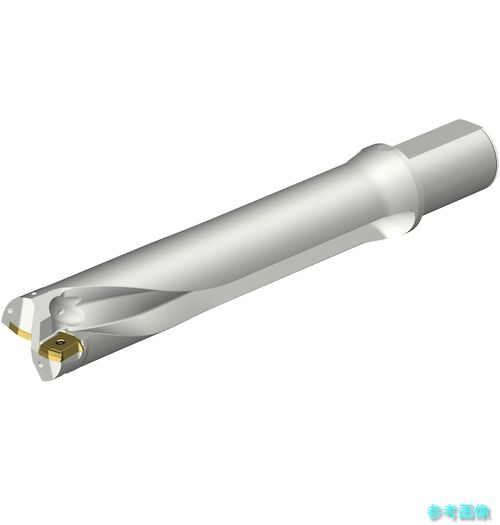 (SANDVIK) DS20-D5600L50-05 コロドリルDS20刃先交換式ドリル(465) 【1本】