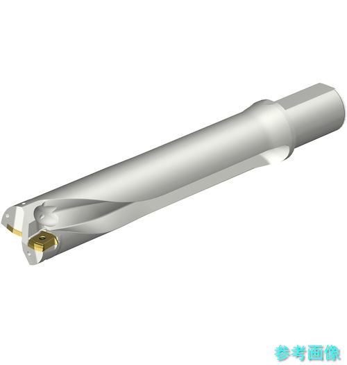 (SANDVIK) DS20-D5800L50-05 コロドリルDS20刃先取り替えっこ式せん孔機(465) 【1本】