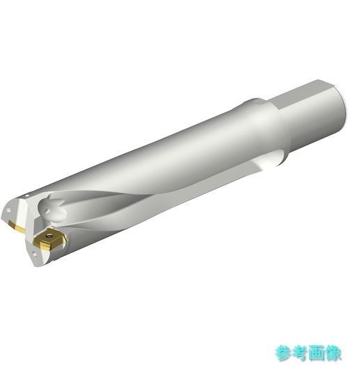 (SANDVIK) DS20-D6100L50-04 コロドリルDS20刃先交換式ドリル(465)|イーキカイ 店